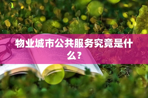 物业城市公共服务究竟是什么？