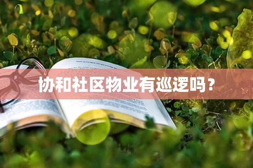 协和社区物业有巡逻吗？