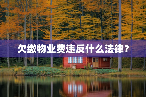 欠缴物业费违反什么法律？