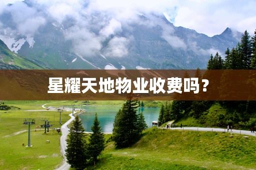 星耀天地物业收费吗？