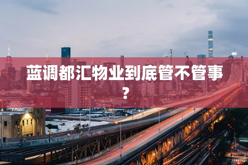 蓝调都汇物业到底管不管事？