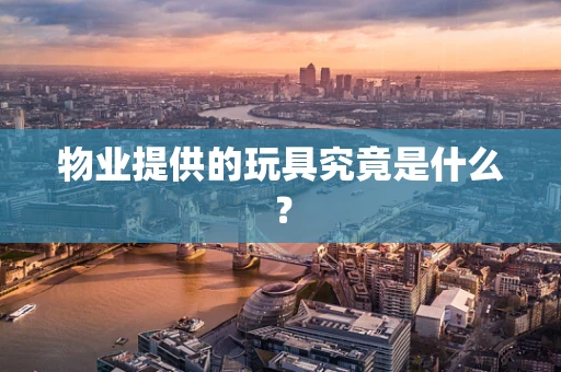 物业提供的玩具究竟是什么？