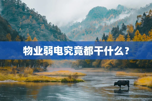 物业弱电究竟都干什么？