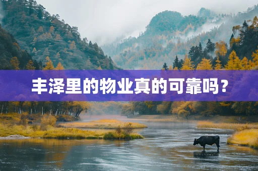 丰泽里的物业真的可靠吗？