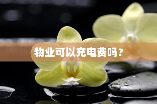 物业可以充电费吗？
