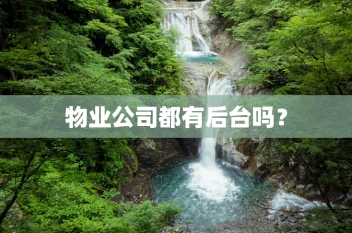 物业公司都有后台吗？