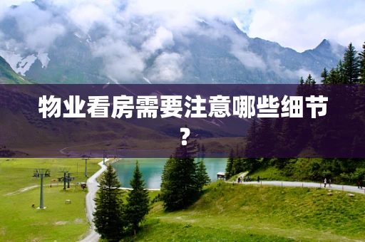 物业看房需要注意哪些细节？