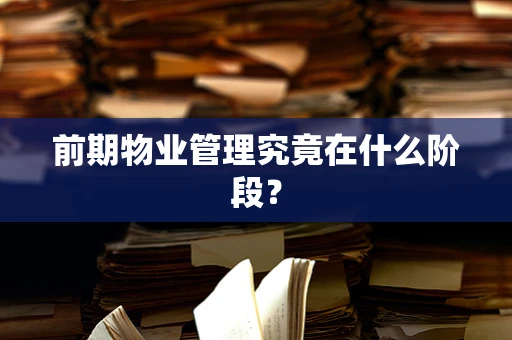 前期物业管理究竟在什么阶段？