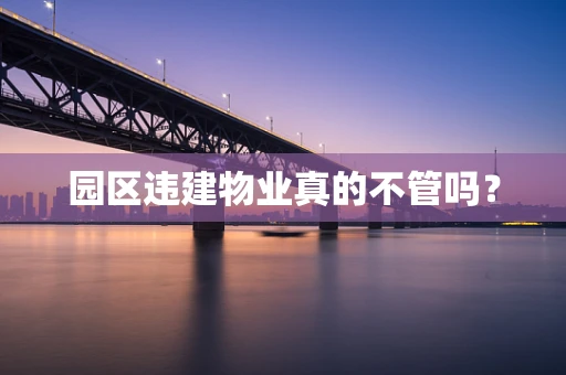 园区违建物业真的不管吗？
