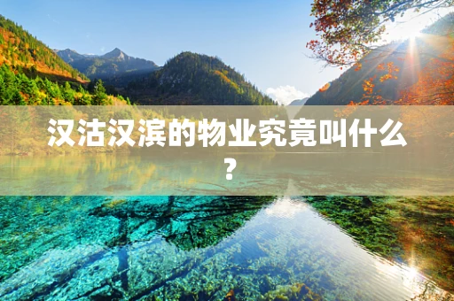 汉沽汉滨的物业究竟叫什么？