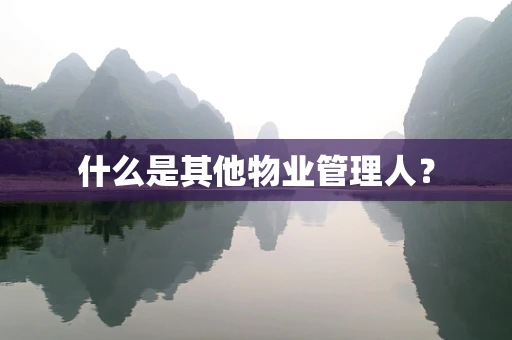 什么是其他物业管理人？
