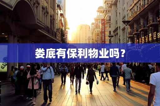 娄底有保利物业吗？