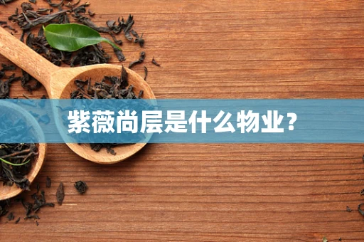 紫薇尚层是什么物业？