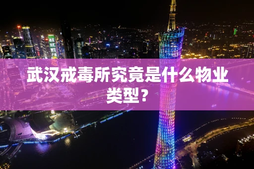 武汉戒毒所究竟是什么物业类型？