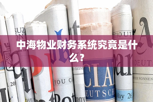 中海物业财务系统究竟是什么？