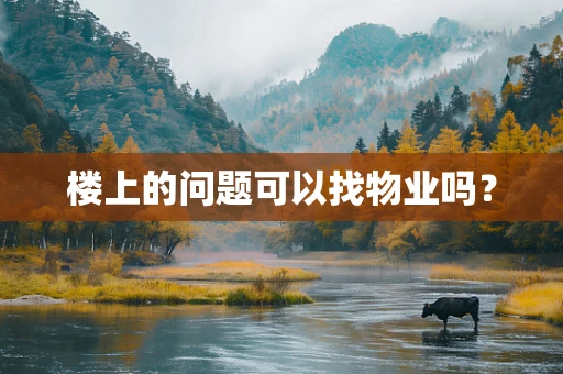 楼上的问题可以找物业吗？