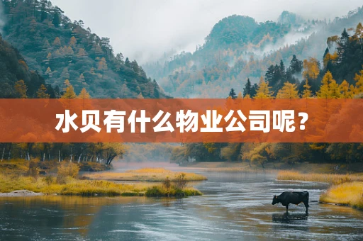 水贝有什么物业公司呢？