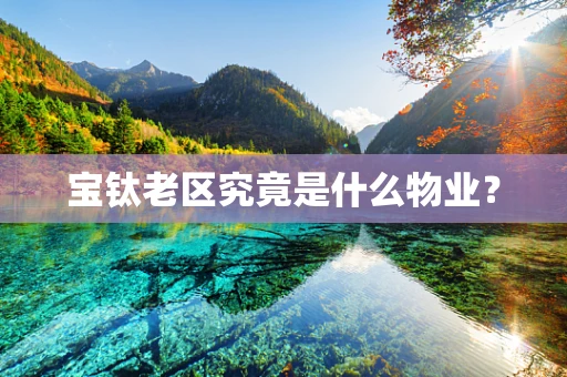 宝钛老区究竟是什么物业？