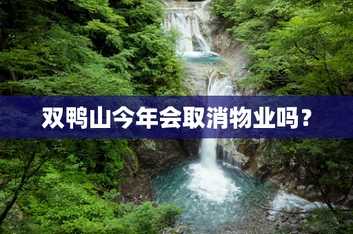 双鸭山今年会取消物业吗？