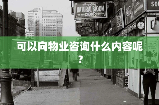 可以向物业咨询什么内容呢？