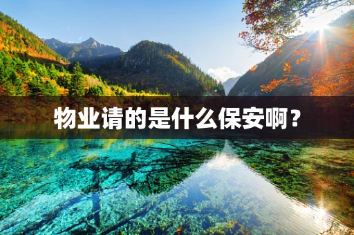 物业请的是什么保安啊？