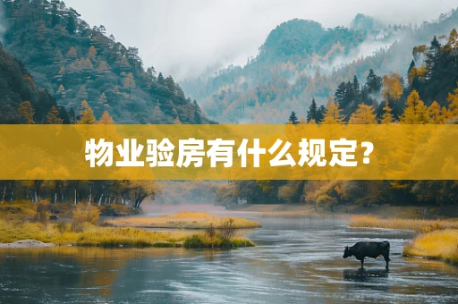 物业验房有什么规定？
