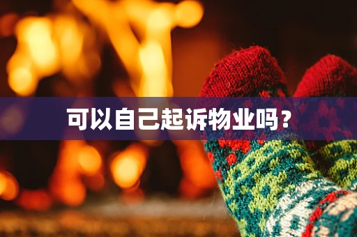 可以自己起诉物业吗？