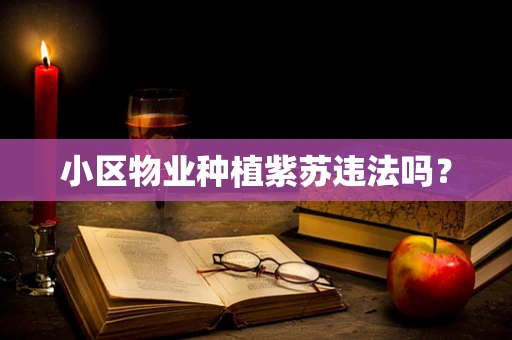 小区物业种植紫苏违法吗？