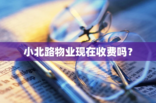 小北路物业现在收费吗？