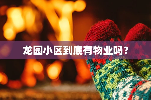 龙园小区到底有物业吗？