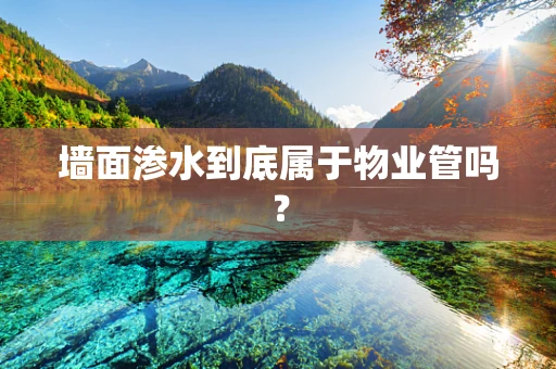墙面渗水到底属于物业管吗？