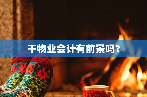 干物业会计有前景吗？