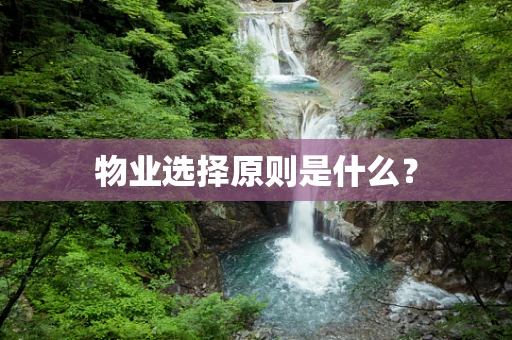 物业选择原则是什么？