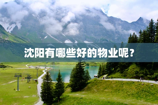 沈阳有哪些好的物业呢？