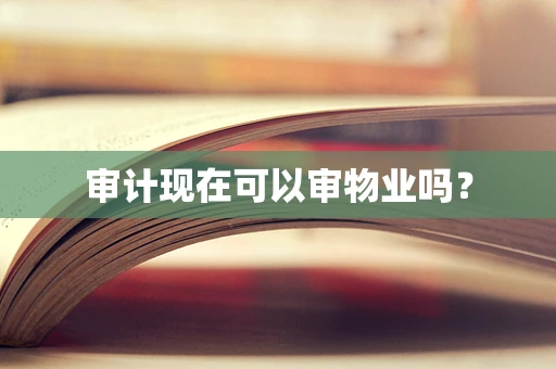 审计现在可以审物业吗？