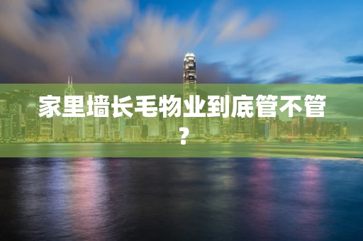 家里墙长毛物业到底管不管？
