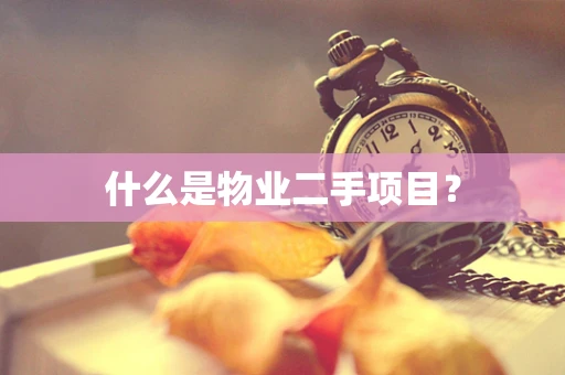 什么是物业二手项目？