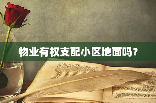 物业有权支配小区地面吗？