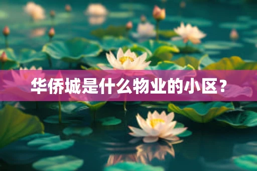 华侨城是什么物业的小区？