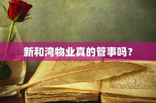 新和湾物业真的管事吗？