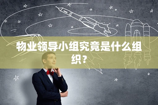 物业领导小组究竟是什么组织？