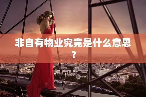 非自有物业究竟是什么意思？