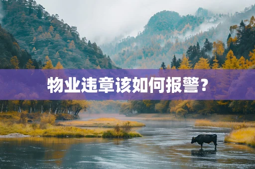 物业违章该如何报警？