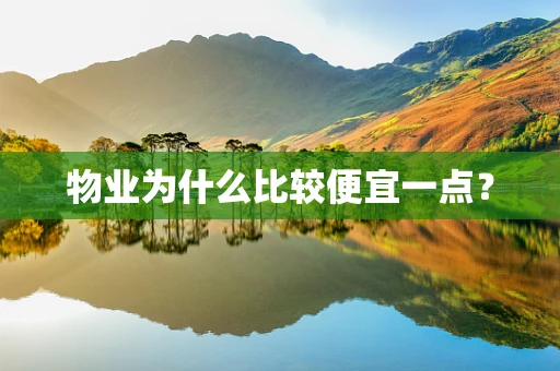 物业为什么比较便宜一点？