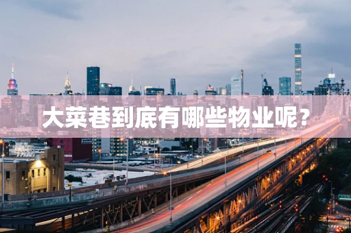 大菜巷到底有哪些物业呢？