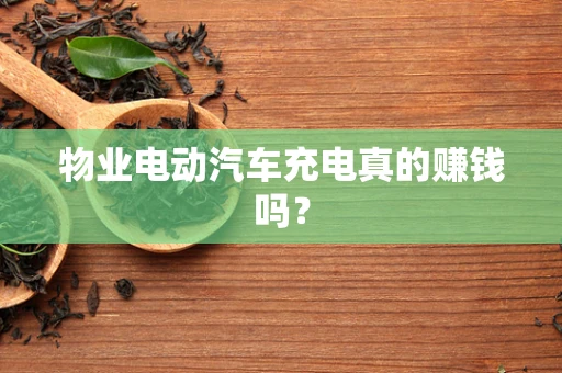 物业电动汽车充电真的赚钱吗？