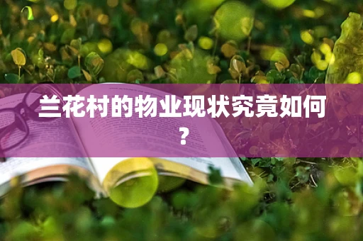 兰花村的物业现状究竟如何？