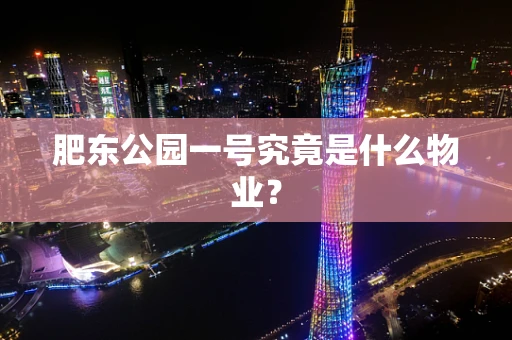 肥东公园一号究竟是什么物业？