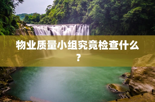 物业质量小组究竟检查什么？