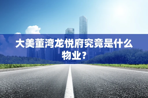 大美董湾龙悦府究竟是什么物业？